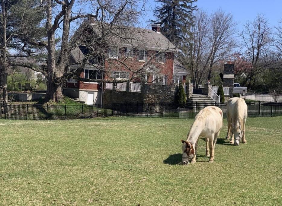 Beautiful Equestrian Estate Home W/ Hot Tub! Loveland Екстер'єр фото