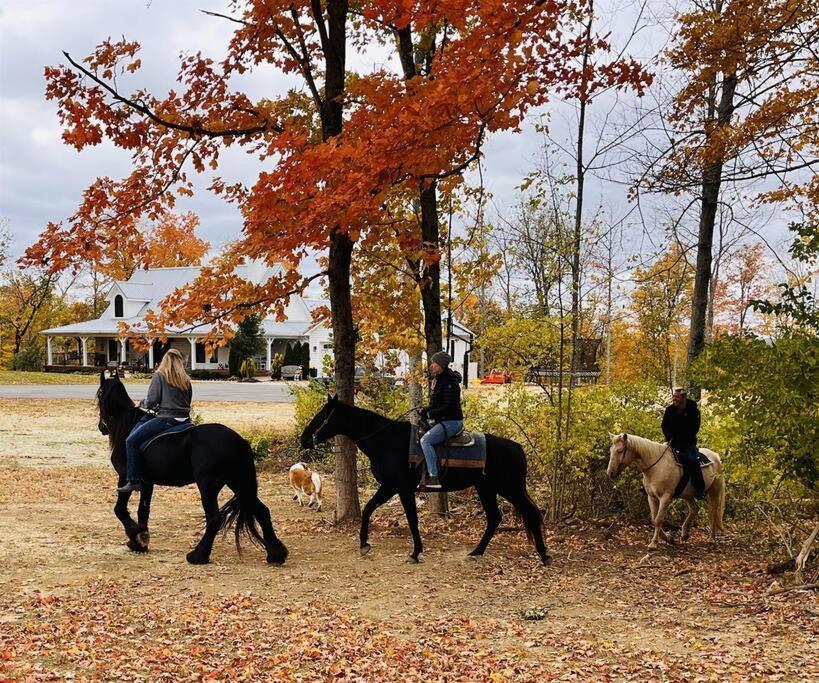 Beautiful Equestrian Estate Home W/ Hot Tub! Loveland Екстер'єр фото